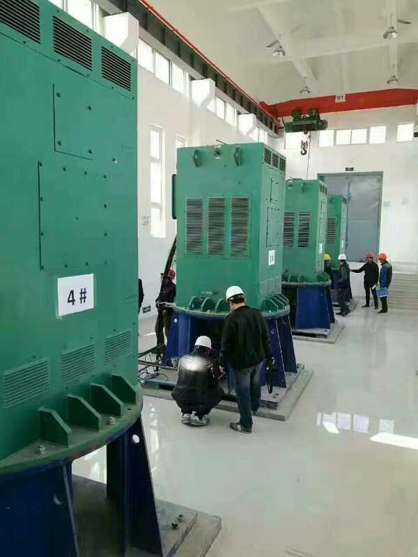 蒋湖农场某污水处理厂使用我厂的立式高压电机安装现场