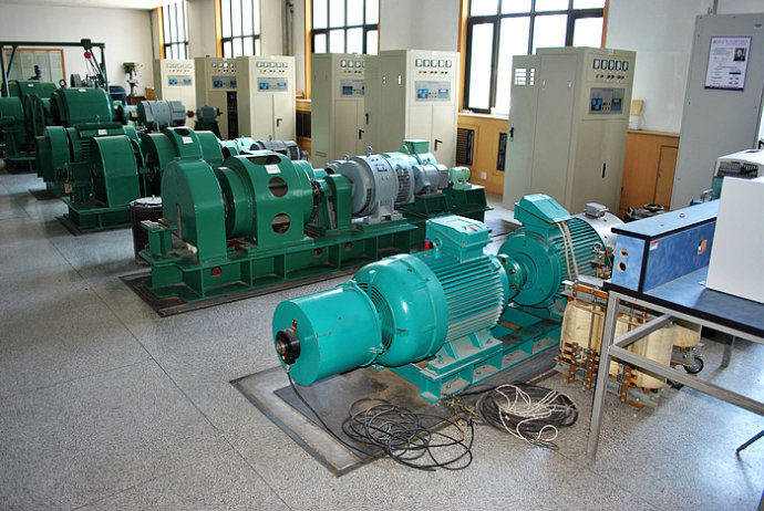 蒋湖农场某热电厂使用我厂的YKK高压电机提供动力